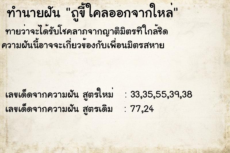 ทำนายฝันถูขี้ใคลออกจากใหล่ ทำนายฝันทำนายฝันถูขี้ใคลออกจากใหล่