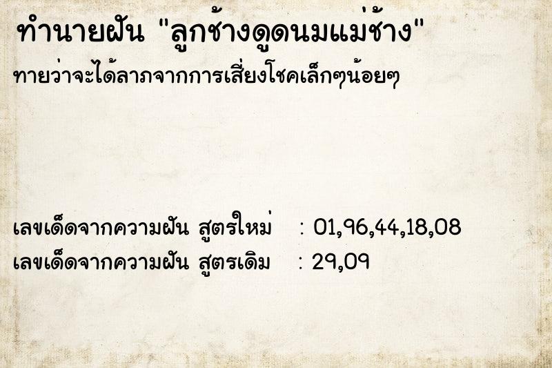 ทำนายฝันลูกช้างดูดนมแม่ช้าง ทำนายฝันทำนายฝันลูกช้างดูดนมแม่ช้าง