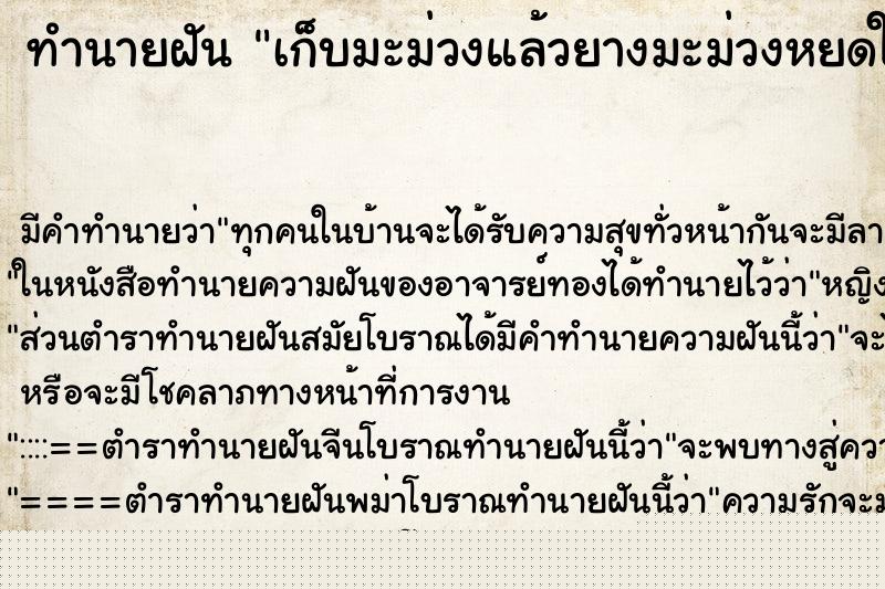 ทำนายฝัน เก็บมะม่วงแล้วยางมะม่วงหยดใส่ ทำนายฝัน เก็บมะม่วงแล้วยางมะม่วงหยดใส่