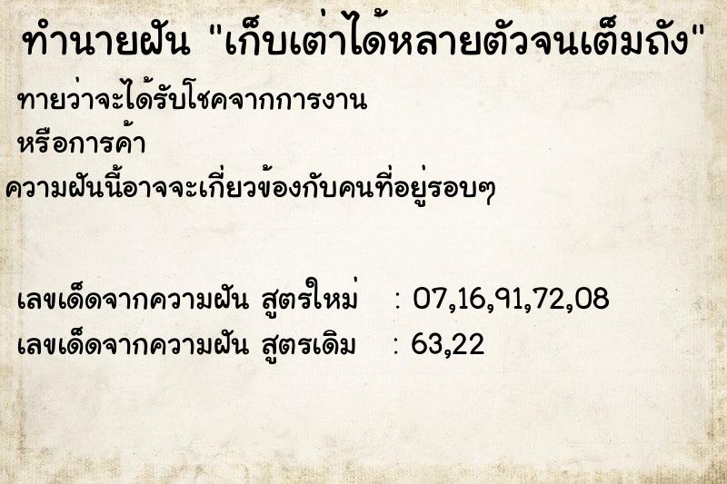 ทำนายฝันทำนายฝันเก็บเต่าได้หลายตัวจนเต็มถัง