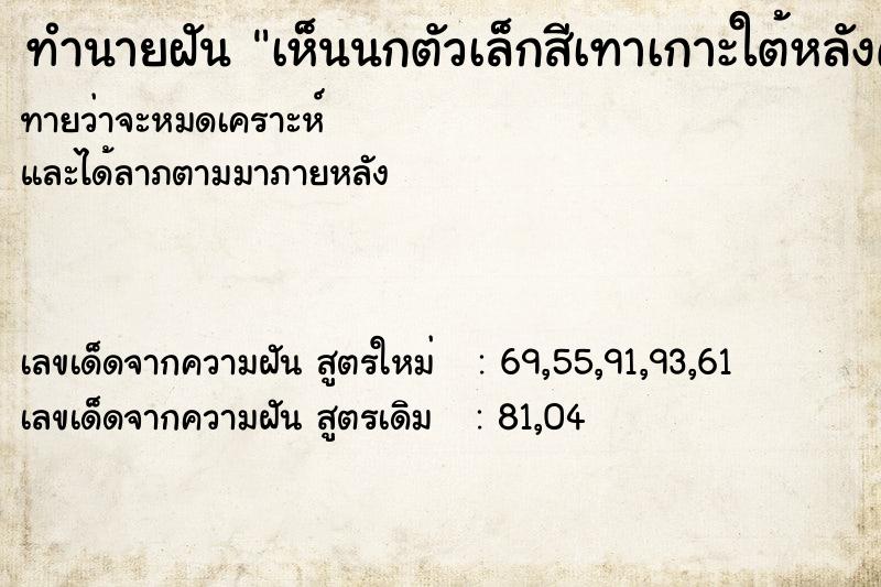 ทำนายฝัน เห็นนกตัวเล็กสีเทาเกาะใต้หลังคาหลายตะว ทำนายฝัน เห็นนกตัวเล็กสีเทาเกาะใต้หลังคาหลายตะว