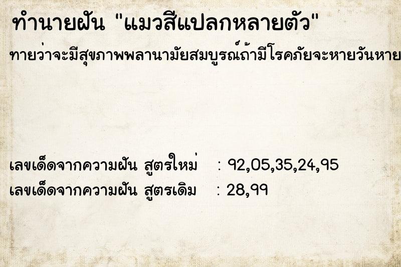 ทำนายฝันทำนายฝันแมวสีแปลกหลายตัว