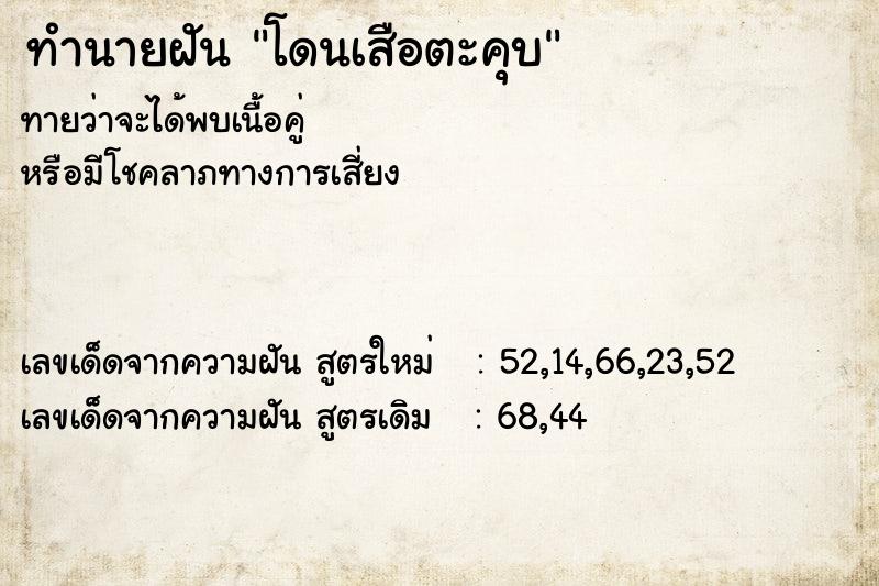 ทำนายฝันโดนเสือตะคุบ ทำนายฝันทำนายฝันโดนเสือตะคุบ