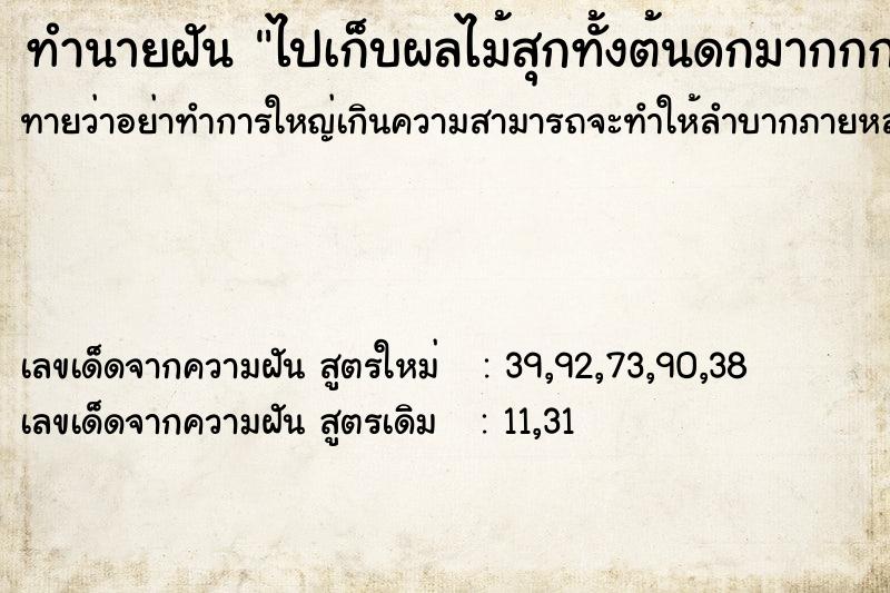 ทำนายฝันทำนายฝันไปเก็บผลไม้สุกทั้งต้นดกมากกก