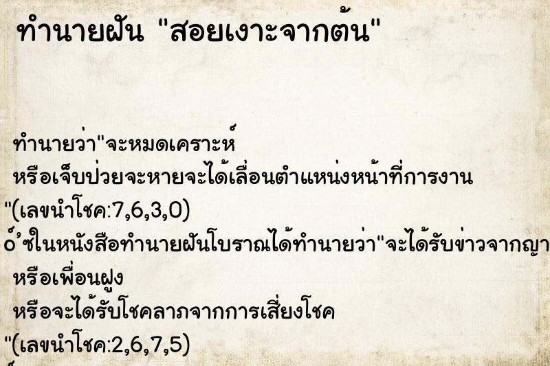 ทำนายฝัน สอยเงาะจากต้น ทำนายฝัน สอยเงาะจากต้น