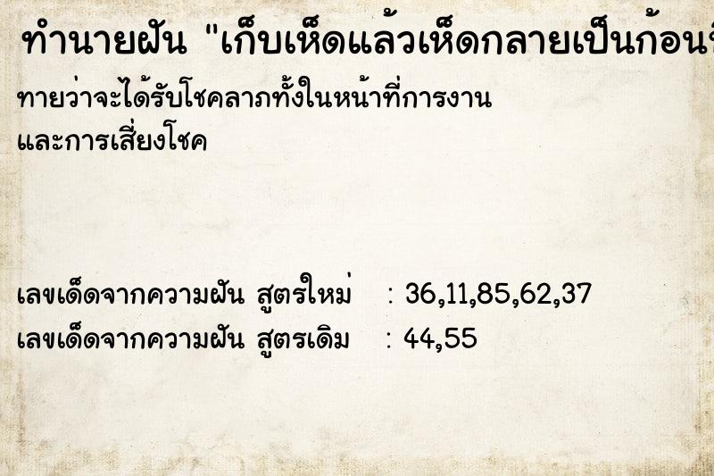 ทำนายฝันทำนายฝันเก็บเห็ดแล้วเห็ดกลายเป็นก้อนหิน