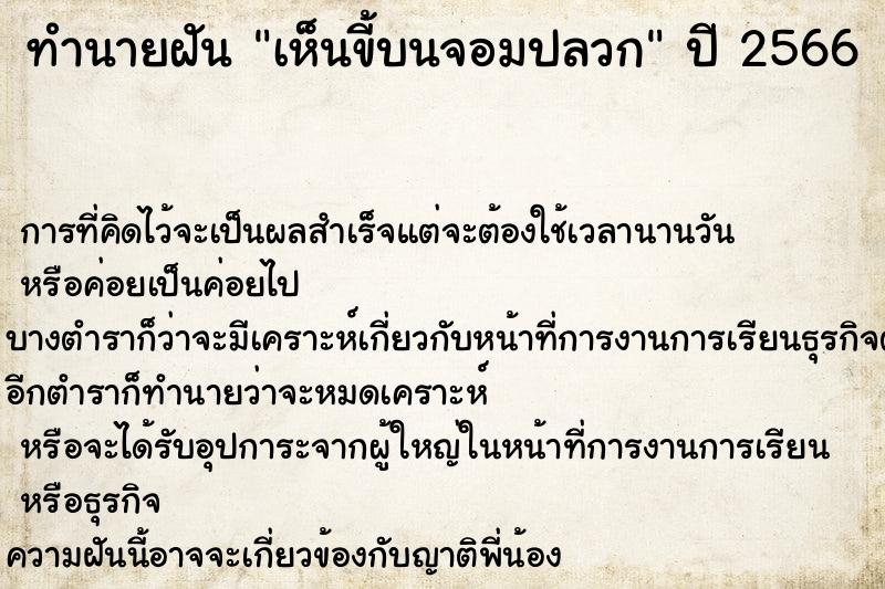 ทำนายฝันทำนายฝันเห็นขี้บนจอมปลวก