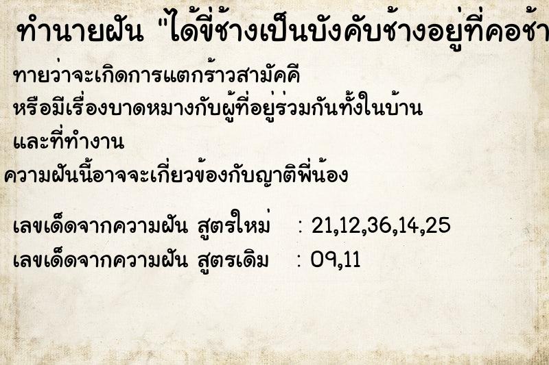 ทำนายฝันทำนายฝันได้ขี่ช้างเป็นบังคับช้างอยู่ที่คอช้าง