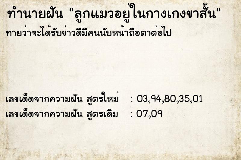 ทำนายฝันทำนายฝันลูกแมวอยู่ในกางเกงขาสั้น