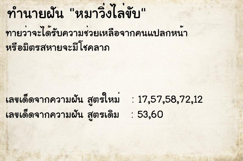 ทำนายฝัน หมาวิ่งไล่ขับ ทำนายฝัน หมาวิ่งไล่ขับ