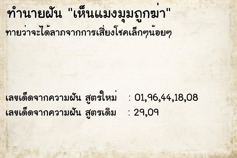 ทำนายฝัน เห็นแมงมุมถูกฆ่า ทำนายฝัน เห็นแมงมุมถูกฆ่า