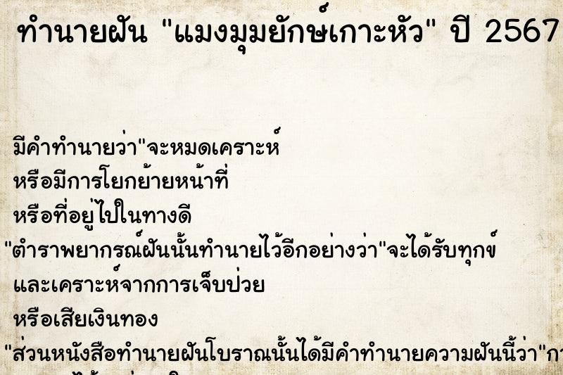 ทำนายฝันแมงมุมยักษ์เกาะหัว ทำนายฝันทำนายฝันแมงมุมยักษ์เกาะหัว