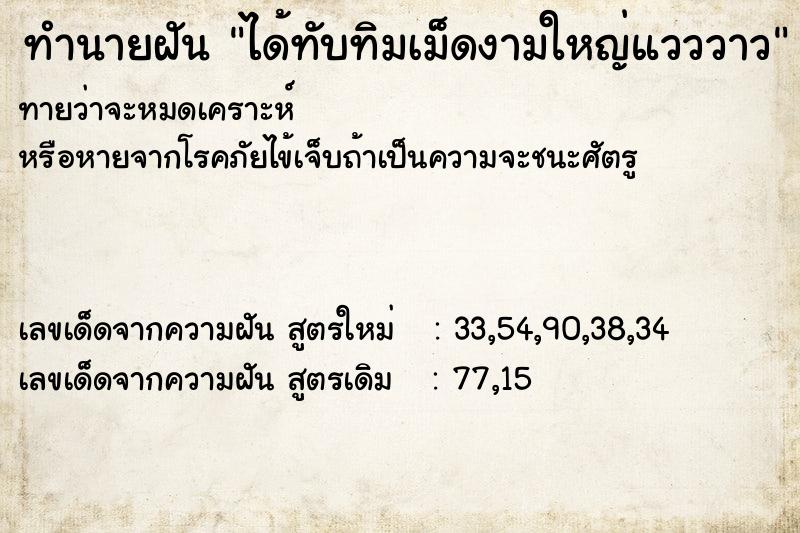 ทำนายฝันทำนายฝันได้ทับทิมเม็ดงามใหญ่แวววาว