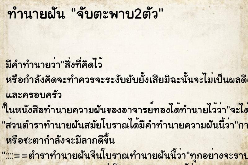 ทำนายฝัน จับตะพาบ2ตัว ทำนายฝัน จับตะพาบ2ตัว