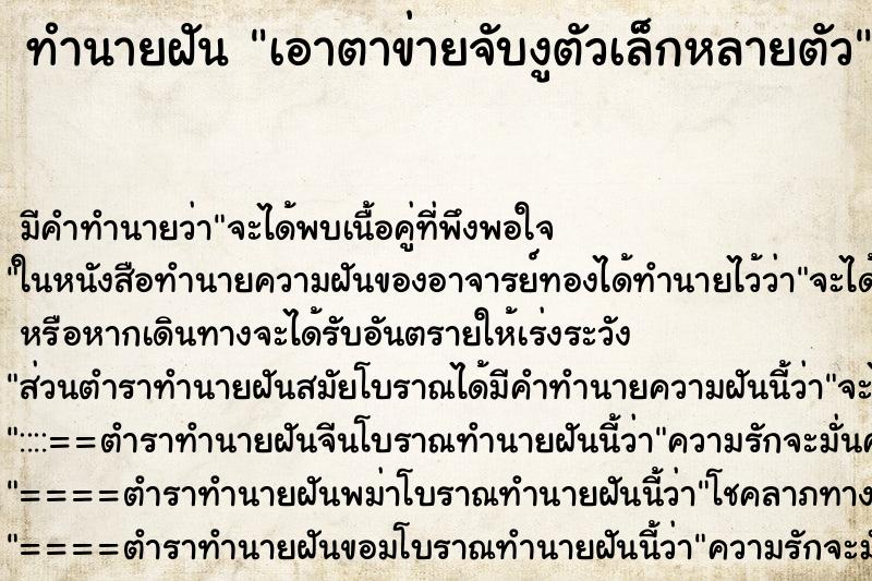 ทำนายฝันทำนายฝันเอาตาข่ายจับงูตัวเล็กหลายตัว