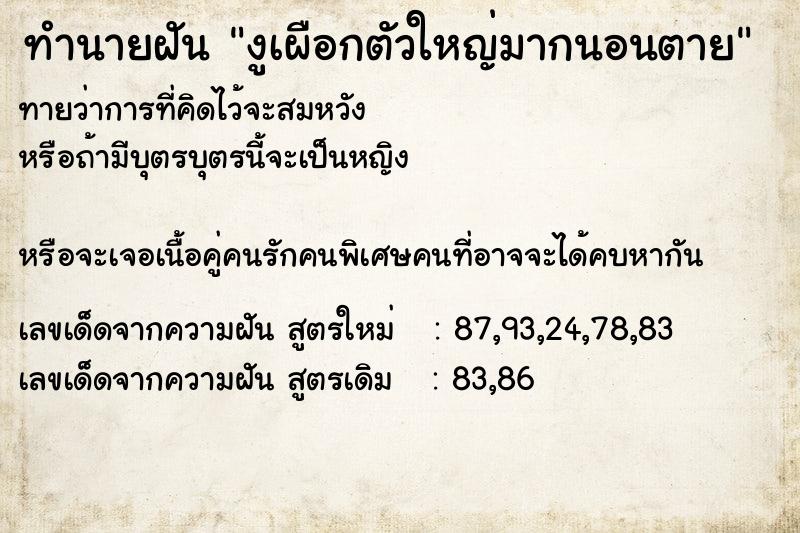 ทำนายฝันงูเผือกตัวใหญ่มากนอนตาย ทำนายฝันทำนายฝันงูเผือกตัวใหญ่มากนอนตาย
