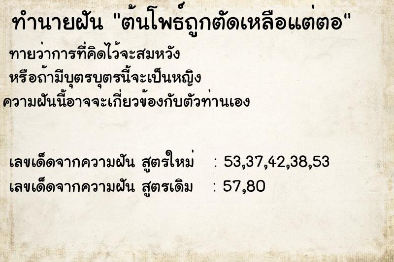 ทำนายฝันทำนายฝันต้นโพธ์ถูกตัดเหลือแต่ตอ