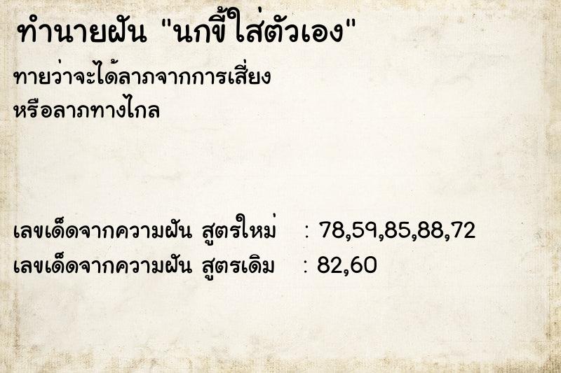 ทำนายฝันนกขี้ใส่ตัวเอง ทำนายฝันทำนายฝันนกขี้ใส่ตัวเอง