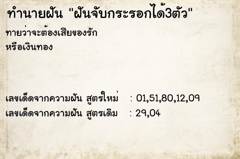 ทำนายฝันฝันจับกระรอกได้3ตัว ทำนายฝันทำนายฝันฝันจับกระรอกได้3ตัว