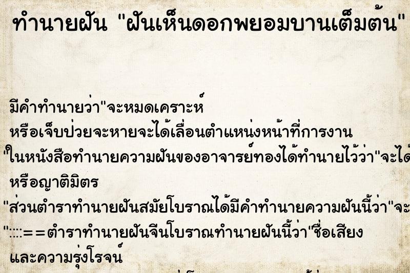 ทำนายฝัน ฝันเห็นดอกพยอมบานเต็มต้น ตำราโบราณ แม่นที่สุดในโลก