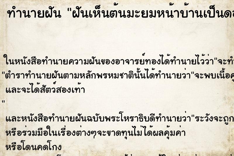 ทำนายฝันฝันเห็นต้นมะยมหน้าบ้านเป็นดอก ทำนายฝันทำนายฝันฝันเห็นต้นมะยมหน้าบ้านเป็นดอก