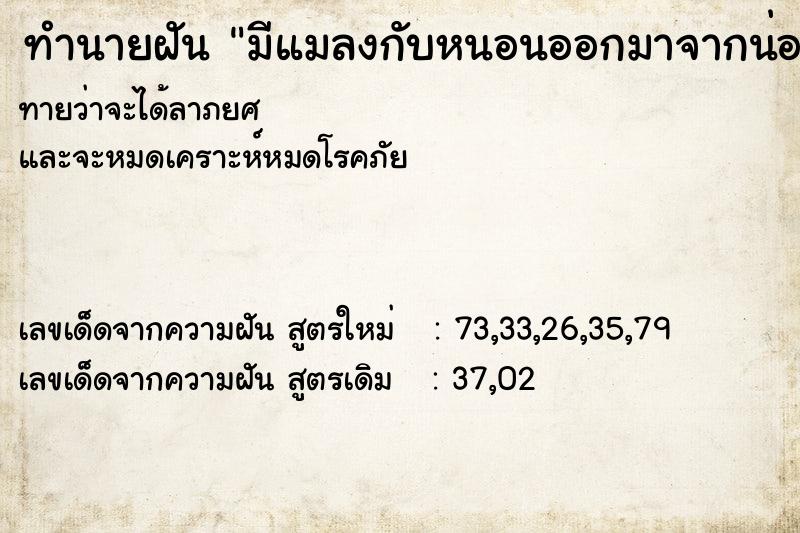 ทำนายฝันทำนายฝันมีแมลงกับหนอนออกมาจากน่องขา