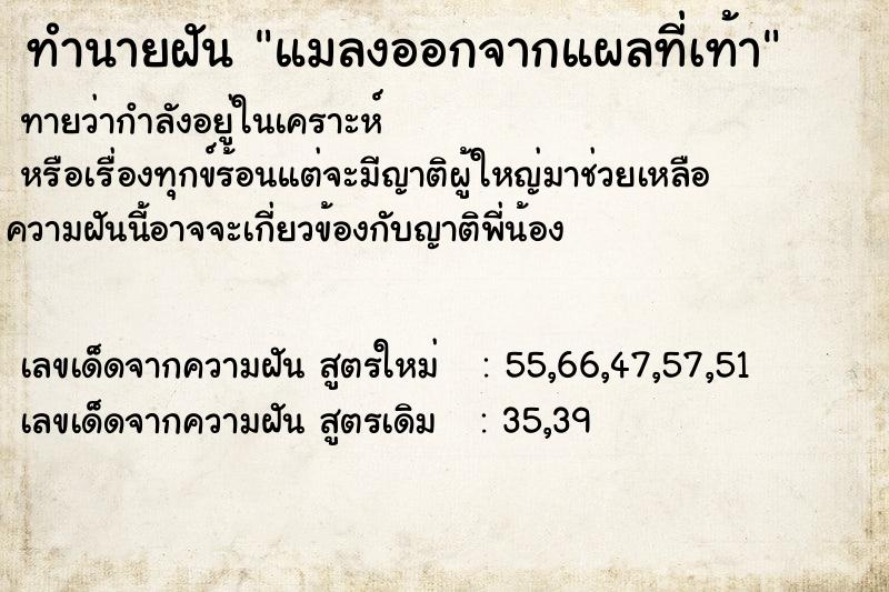 ทำนายฝัน แมลงออกจากแผลที่เท้า ทำนายฝัน แมลงออกจากแผลที่เท้า