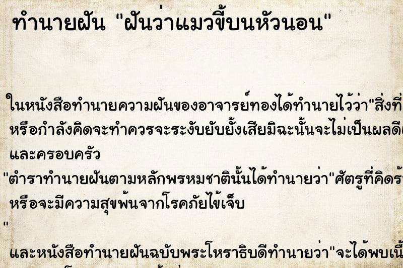 ทำนายฝันฝันว่าแมวขี้บนหัวนอน ทำนายฝันทำนายฝันฝันว่าแมวขี้บนหัวนอน