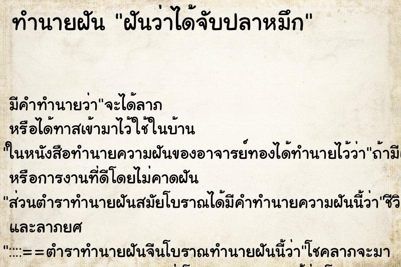 ทำนายฝันทำนายฝันฝันว่าได้จับปลาหมึก