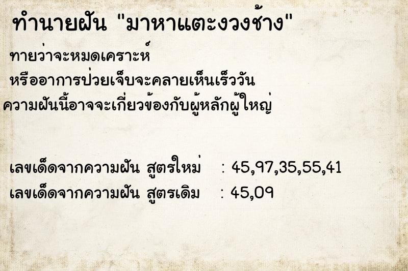 ทำนายฝันทำนายฝันมาหาแตะงวงช้าง