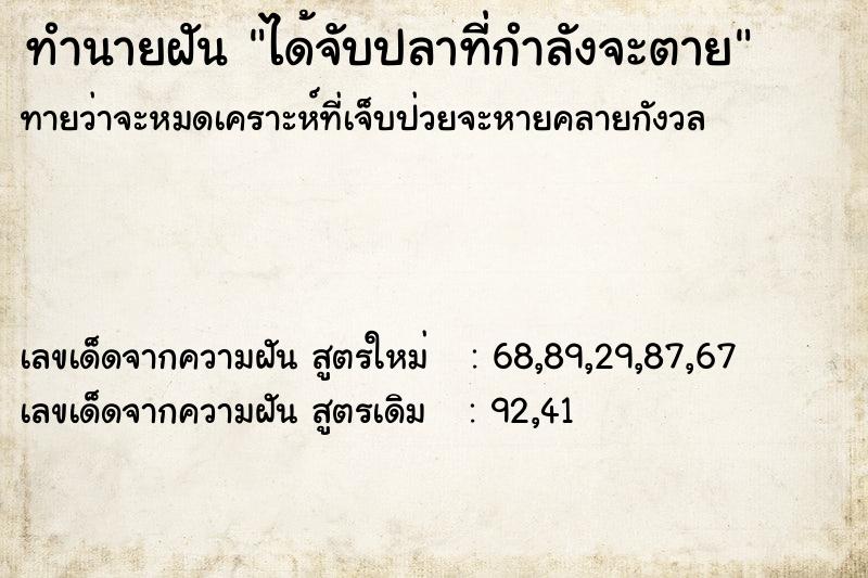 ทำนายฝันทำนายฝันได้จับปลาที่กำลังจะตาย
