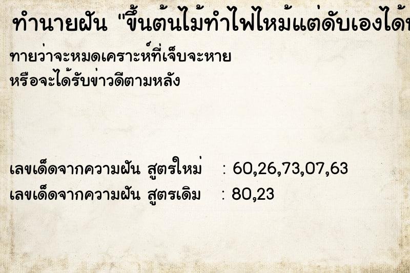 ทำนายฝันขึ้นต้นไม้ทำไฟไหม้แต่ดับเองได้หมดทุกกอง ทำนายฝันทำนายฝันขึ้นต้นไม้ทำไฟไหม้แต่ดับเองได้หมดทุกกอง