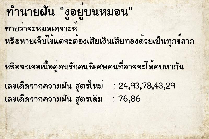 ทำนายฝันทำนายฝันงูอยู่บนหมอน