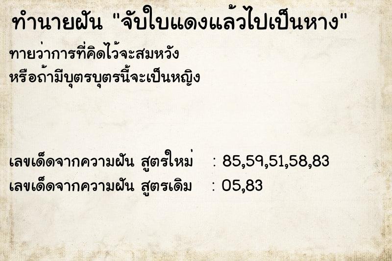 ทำนายฝันจับใบแดงแล้วไปเป็นหาง ทำนายฝันทำนายฝันจับใบแดงแล้วไปเป็นหาง