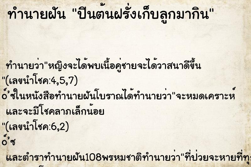 ทำนายฝัน ปีนต้นฝรั่งเก็บลูกมากิน ทำนายฝัน ปีนต้นฝรั่งเก็บลูกมากิน