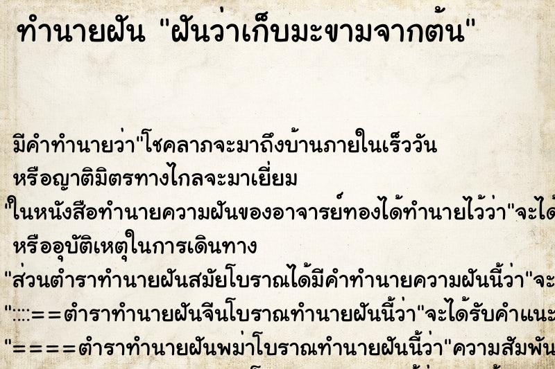 ทำนายฝัน ฝันว่าเก็บมะขามจากต้น ทำนายฝัน ฝันว่าเก็บมะขามจากต้น