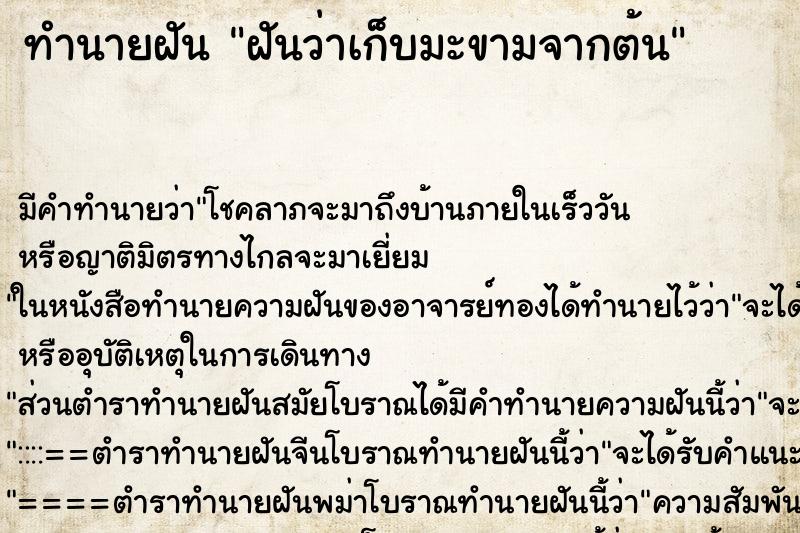 ทำนายฝัน ฝันว่าเก็บมะขามจากต้น ตำราโบราณ แม่นที่สุดในโลก