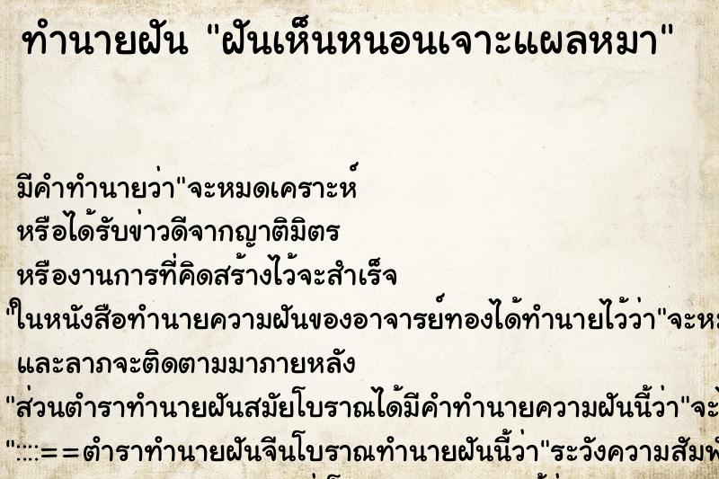ทำนายฝัน ฝันเห็นหนอนเจาะแผลหมา ทำนายฝัน ฝันเห็นหนอนเจาะแผลหมา