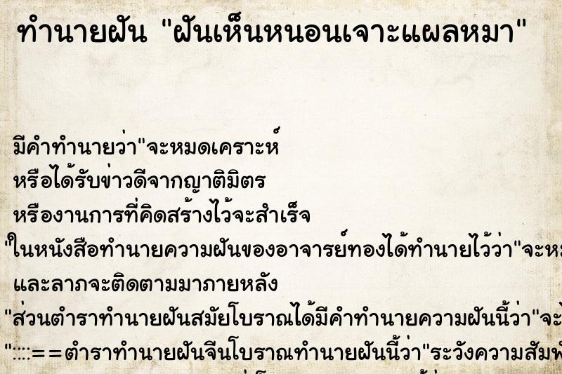 ทำนายฝัน ฝันเห็นหนอนเจาะแผลหมา ตำราโบราณ แม่นที่สุดในโลก