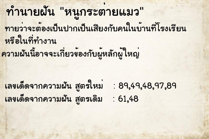 ทำนายฝัน หนูกระต่ายแมว ทำนายฝัน หนูกระต่ายแมว