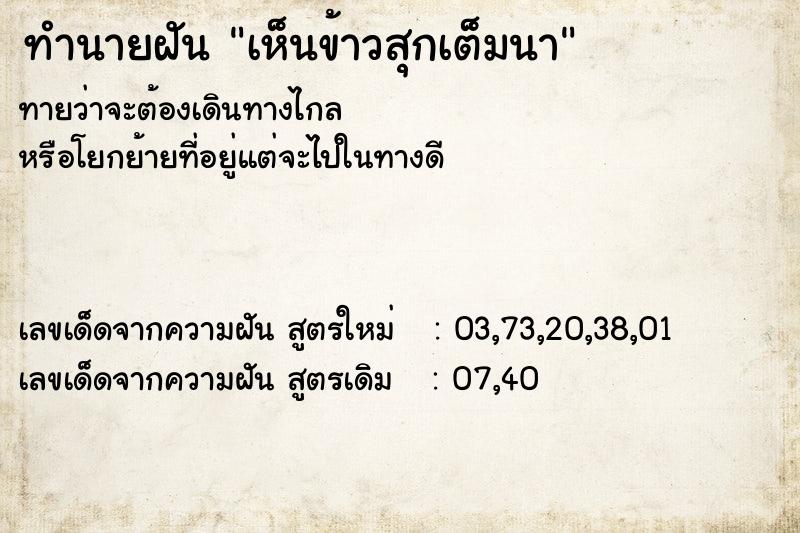 ทำนายฝันทำนายฝันเห็นข้าวสุกเต็มนา