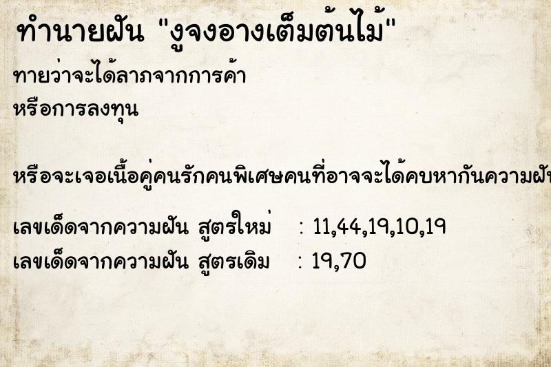 ทำนายฝันงูจงอางเต็มต้นไม้ ทำนายฝันทำนายฝันงูจงอางเต็มต้นไม้