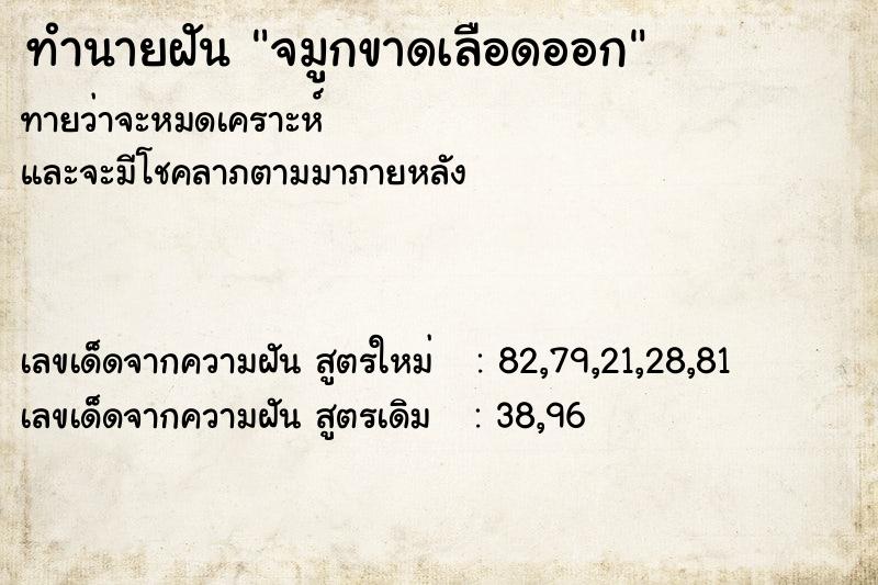 ทำนายฝันจมูกขาดเลือดออก ทำนายฝันทำนายฝันจมูกขาดเลือดออก