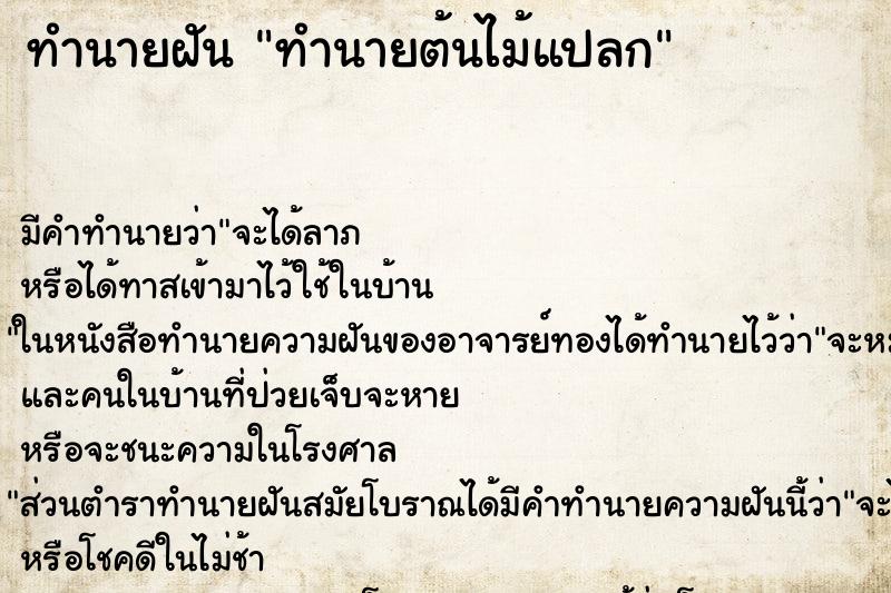 ทำนายฝันทำนายฝันทำนายต้นไม้แปลก