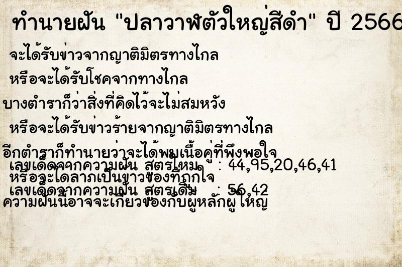 ทำนายฝันปลาวาฬตัวใหญ่สีดำ ทำนายฝันทำนายฝันปลาวาฬตัวใหญ่สีดำ