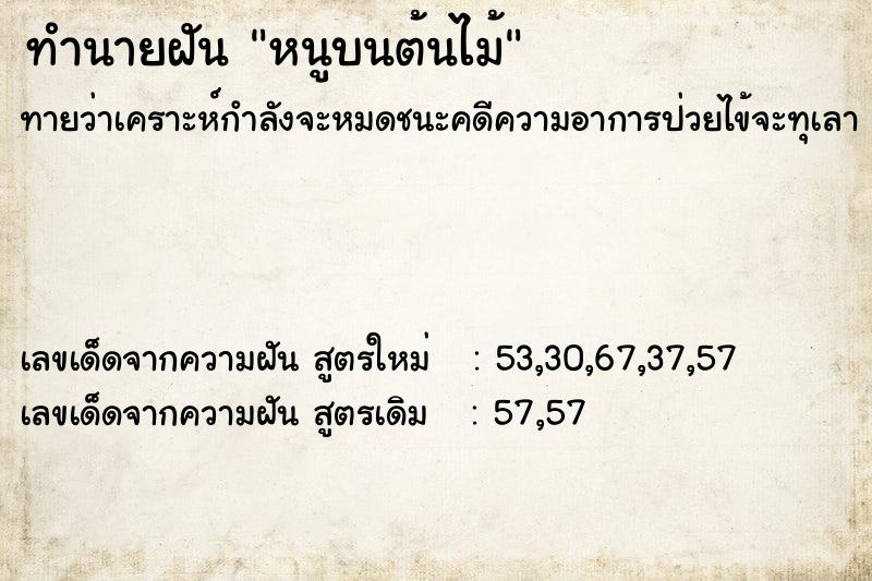 ทำนายฝันหนูบนต้นไม้ ทำนายฝันทำนายฝันหนูบนต้นไม้