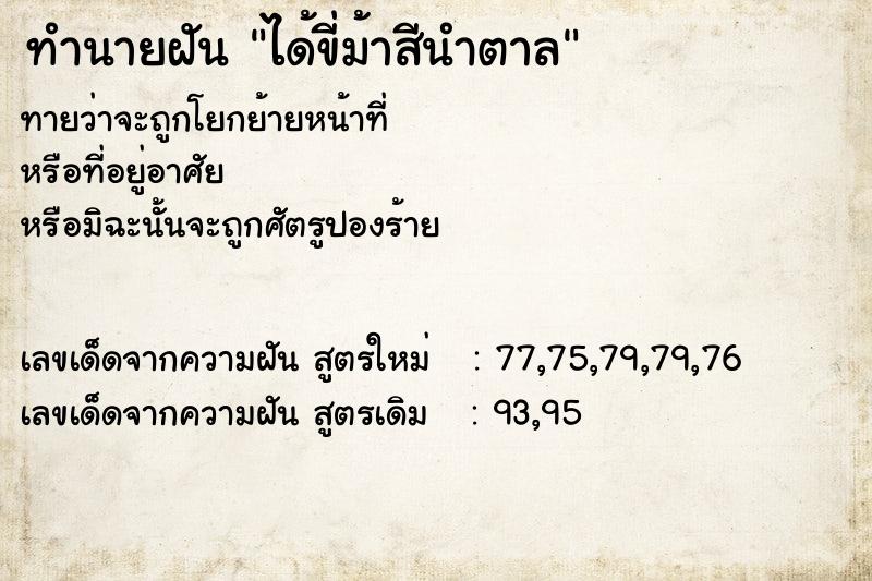 ทำนายฝันทำนายฝันได้ขี่ม้าสีนำตาล
