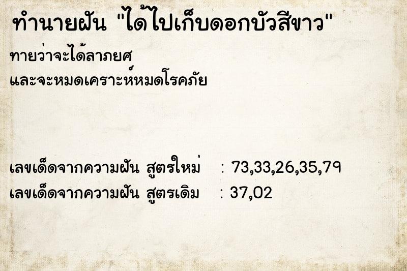 ทำนายฝันทำนายฝันได้ไปเก็บดอกบัวสีขาว