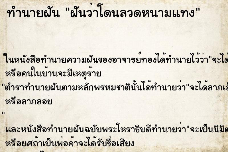 ทำนายฝันฝันว่าโดนลวดหนามแทง ทำนายฝันทำนายฝันฝันว่าโดนลวดหนามแทง