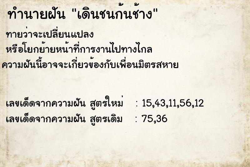 ทำนายฝันเดินชนก้นช้าง ทำนายฝันทำนายฝันเดินชนก้นช้าง